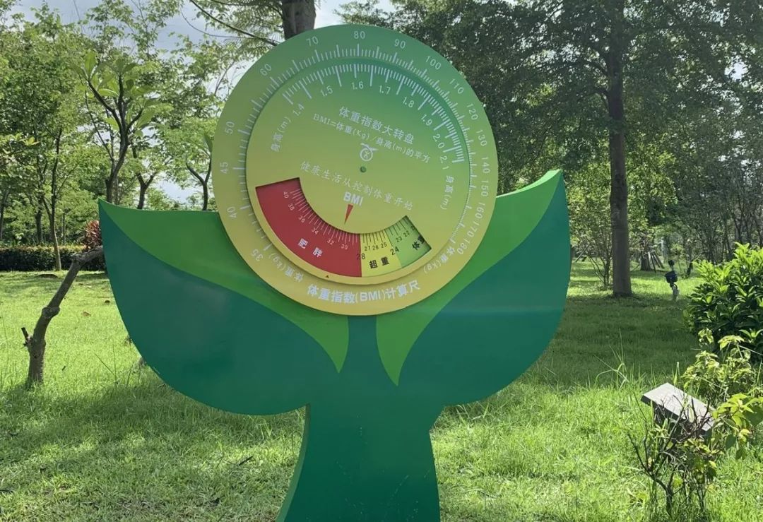 华阳湖湿地公园网红打卡地,华阳附近网红打卡景点室内