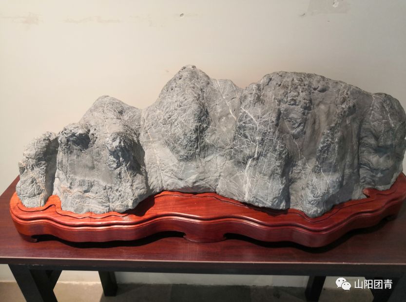 山阳创业者,山阳县农村创业项目