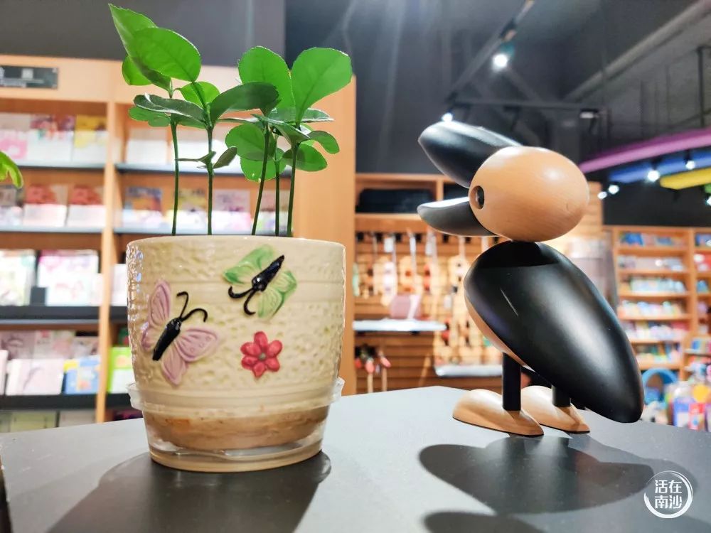 鍗楁矙鏂板崕涔﹀簵,鍗楁矙鍖烘渶澶х殑鏂板崕涔﹀簵