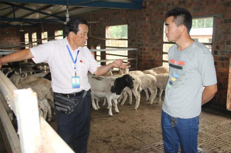 退休畜牧专家乔书志：贫困村的流动科技“服务员”