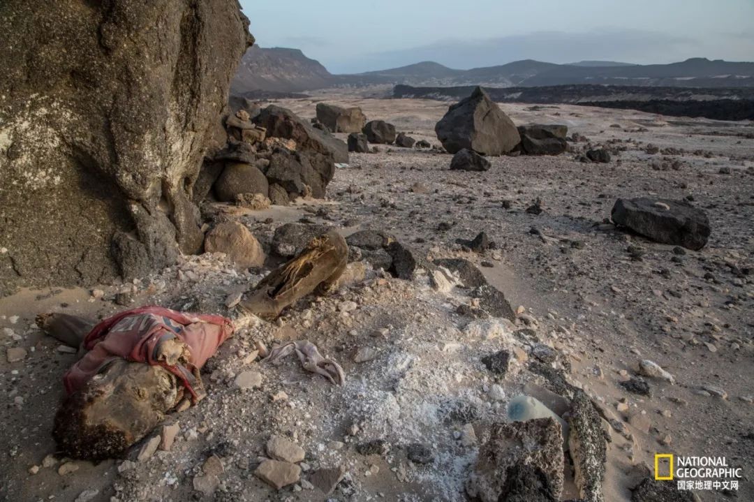 1/7地球人正在逃离家园