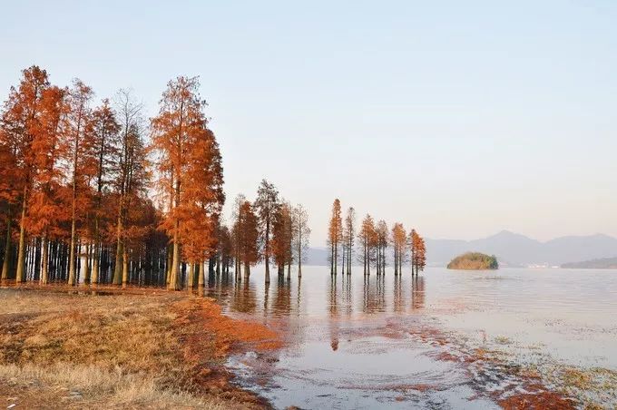 宁波冬天不太冷,宁波冬天冷怎么过