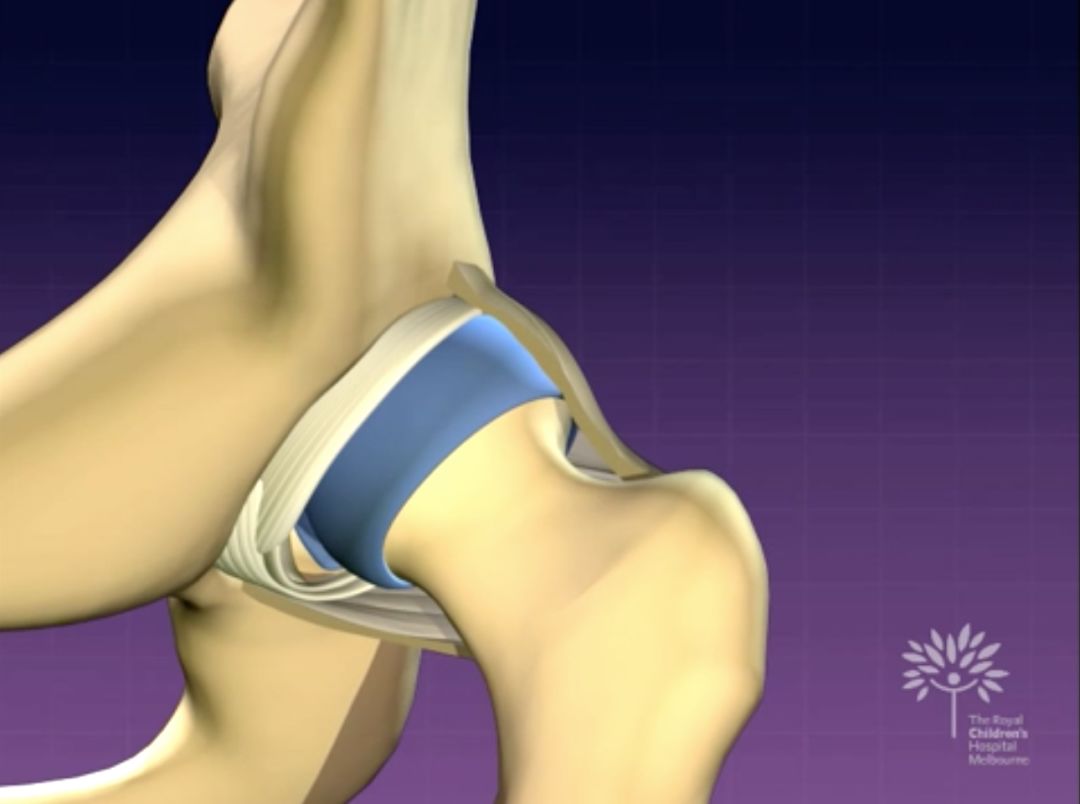 如何安全抱新生儿,宝宝裹襁褓睡会不会影响发育