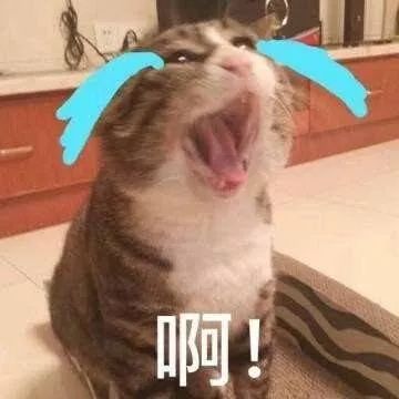 澳门买买买,去澳门买东西都不可以带吗