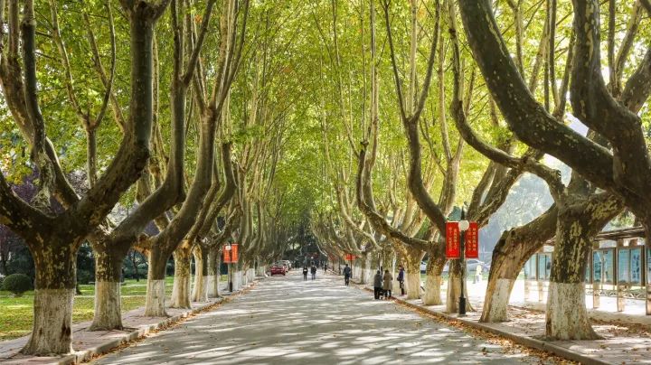 @2019级水之子，多图带你们提前逛河海～