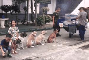 狗狗舌头的秘密居然有7个,汪星人有哪些秘密