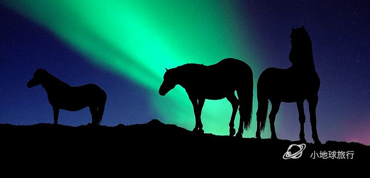 北极圈内的这个冷冽孤独秘境，一到冬天就成为欧洲摄影师的心头肉，国际地理封面就靠你了