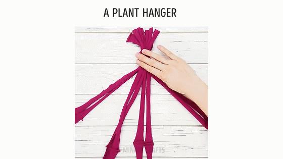 在家种菜,不用土不用肥,“一张纸”就搞定