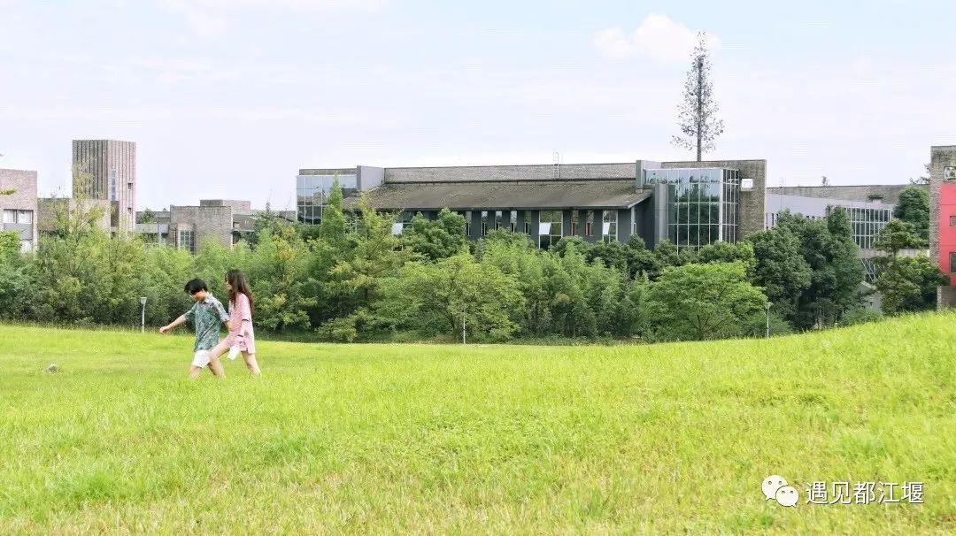 青城山可以去学习吗,四川在青城山的大学