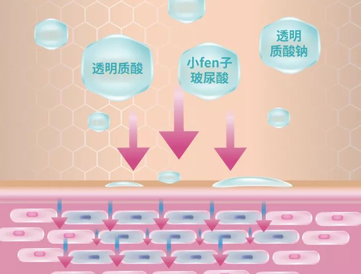 薄唇如何丰唇好看,丰唇使嘴唇变得更美