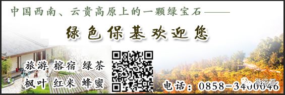 学前教育阶段学生资助政策告知书,六盘水教育资助发放时间