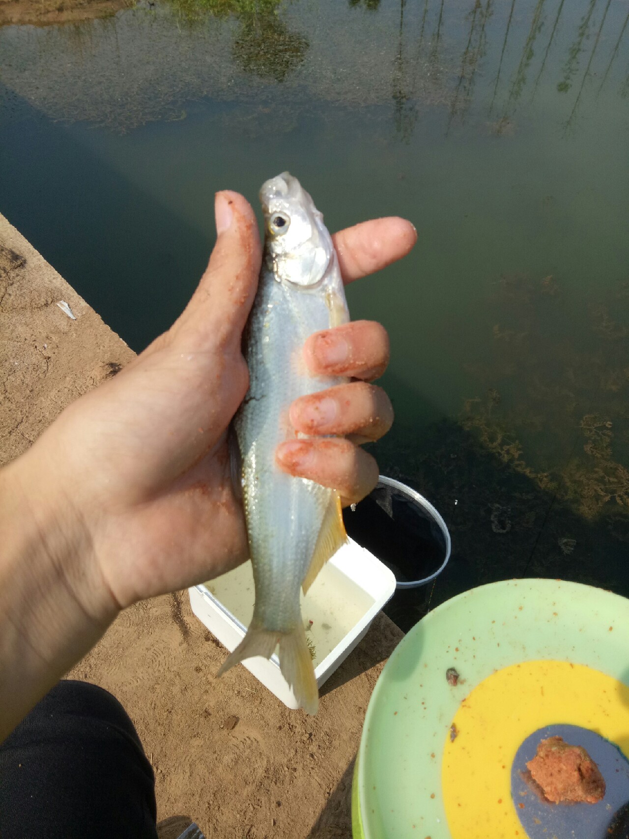 钓鱼人818攻略,钓鱼人开饵料