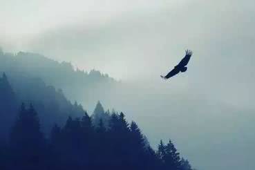 孔子说行万里路更重要,孔子说过言而不文行而不远