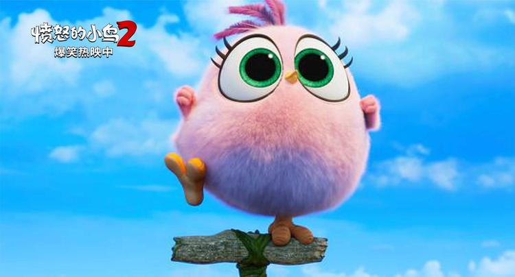 愤怒的小鸟2动画片免费观看,愤怒的小鸟2十周年官方纪念动画