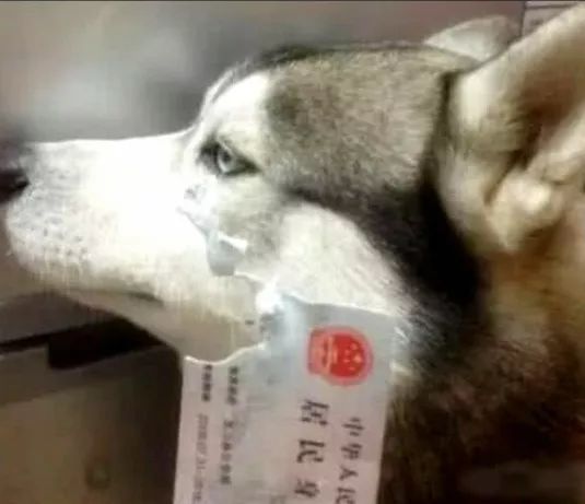 手机存储扩展到1t,如何给电脑免费增加1t空间