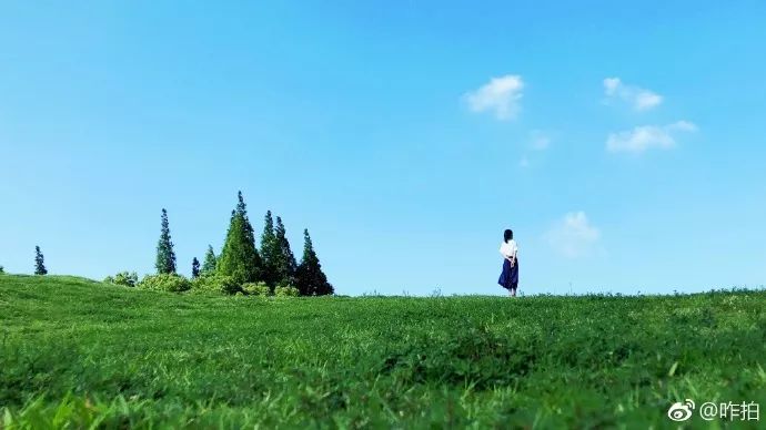 谁拍谁丑特效,谁拍谁丑道具