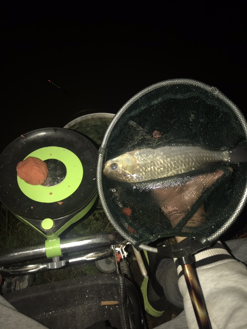 水库夜钓鲤鱼草鱼视频,水库夜钓大鲤鱼