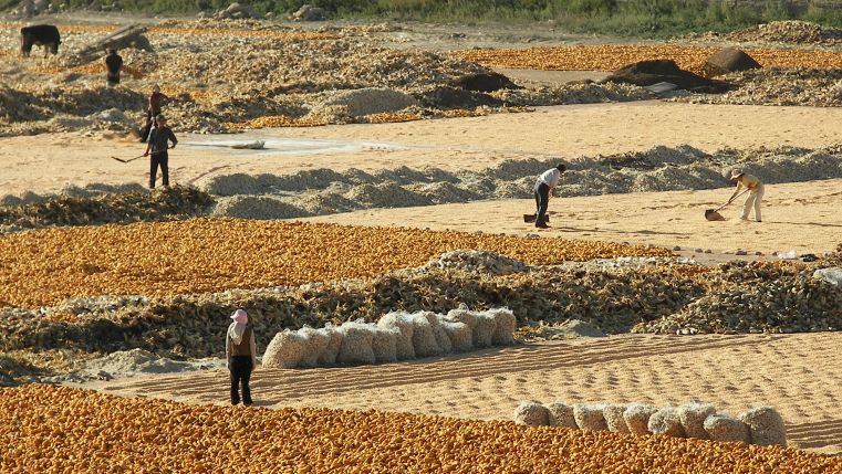 夏邑县补贴名单,夏邑县补贴发放时间