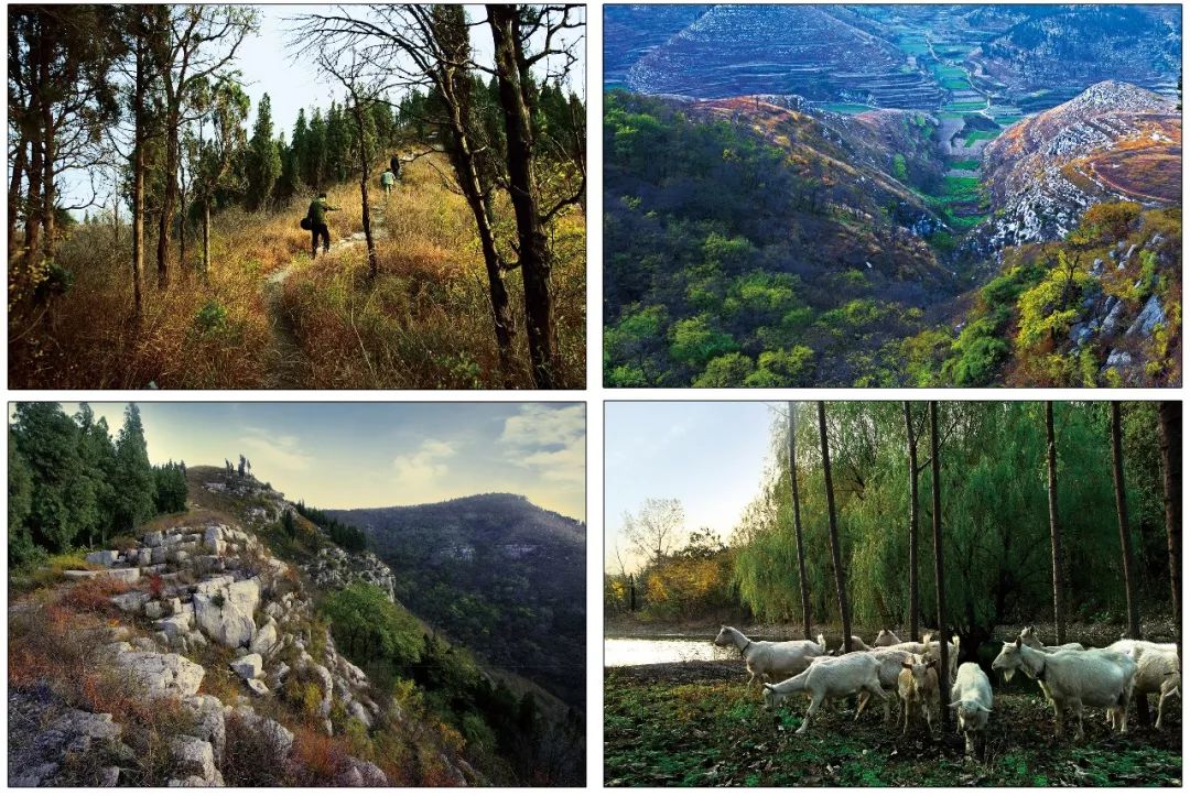 临淄好玩的风景区,临淄附近的山景点有哪些