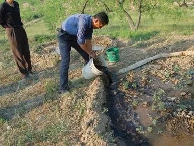 秋施基肥的六大忌,秋施基肥最佳时间开始了