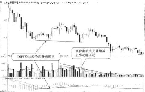 指标之王macd,macd指标之王什么意思