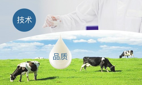 英国的牛栏奶粉怎么样啊,英国牛栏有棕榈油吗