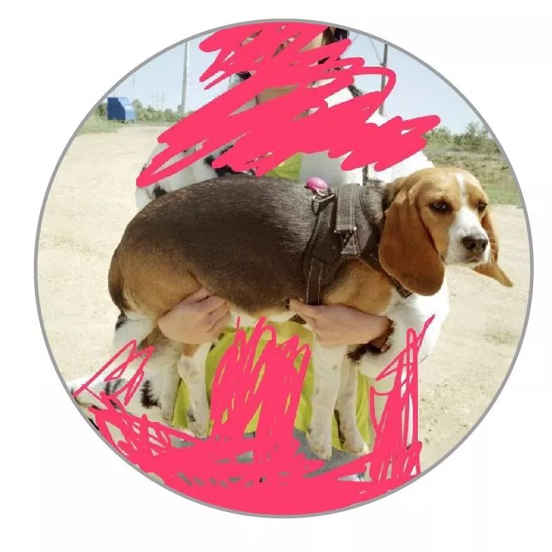 防晒测评团队,无酒精大牌防晒测评推荐