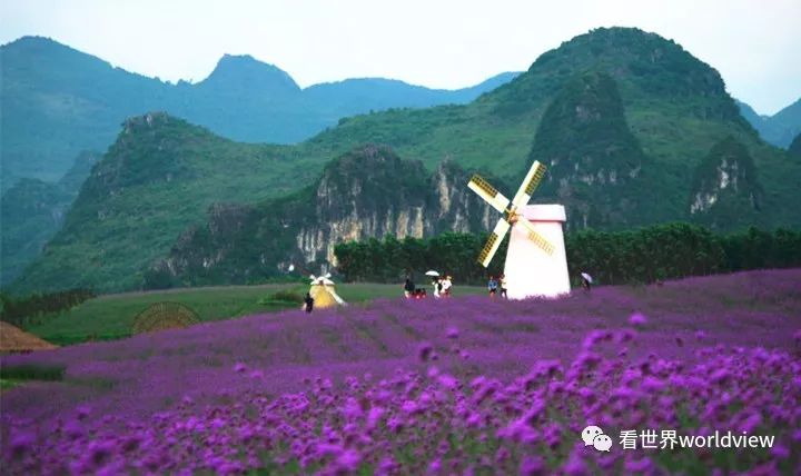 广西今日头条地址,广西有哪些头条自媒体