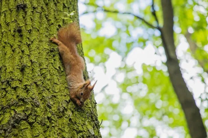 特邀合作伙伴|波兰华沙，不断上演的中国故事