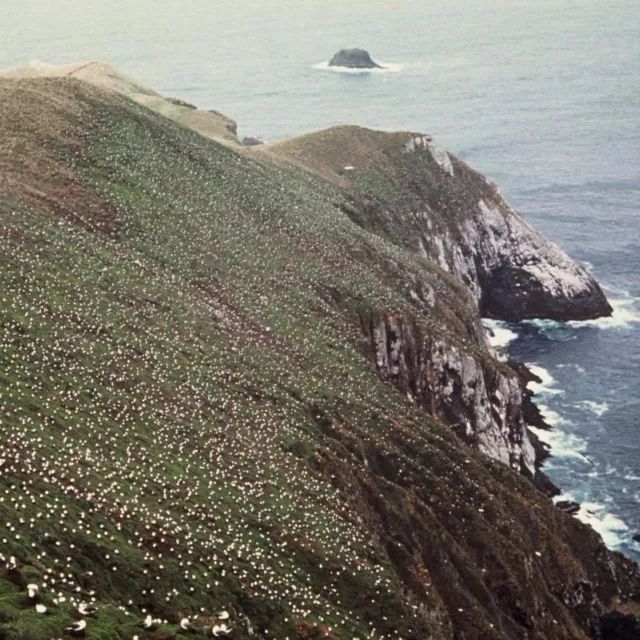 老公知道你的秘密他会怎么样,我的秘密他知道