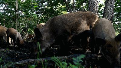 夜航优选的东西怎么样,夜航优选在哪
