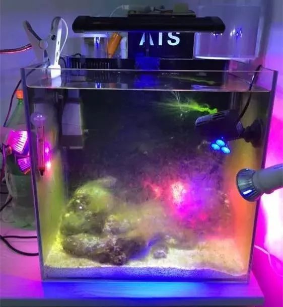 40方缸用背滤,40公分背滤