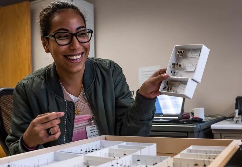 巴西博物馆大火,巴西博物馆大火之谜