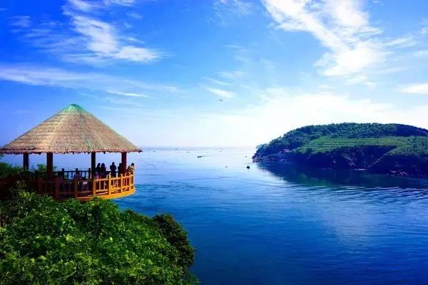 大连开海后的海鲜,开海了吃海鲜去哪个码头最便宜