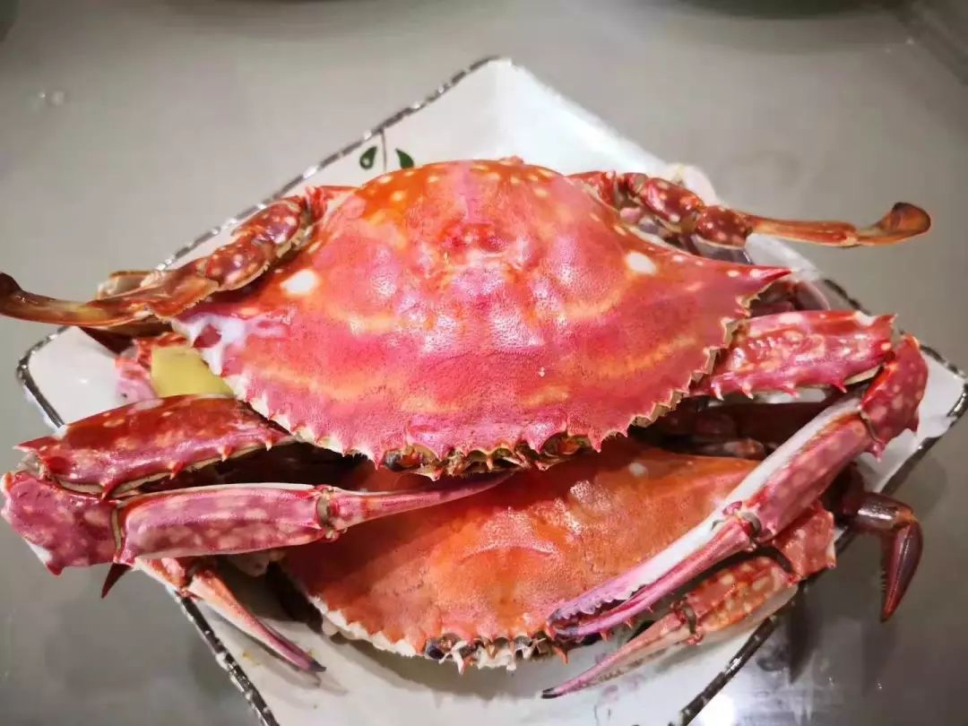 幸福的阳光作品,幸福的阳光原唱视频