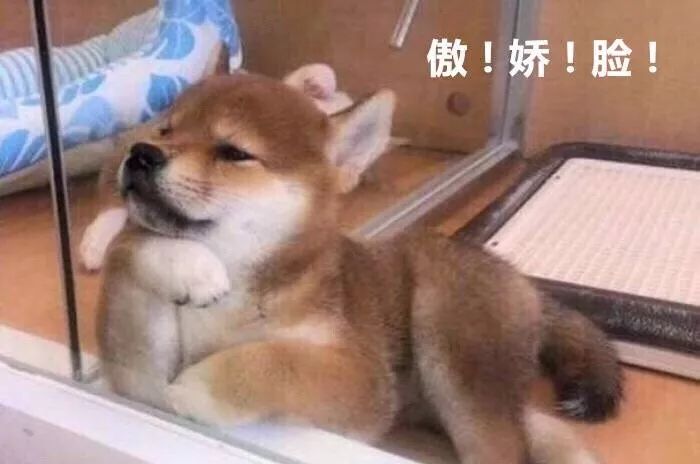 调节你家的气味儿，不只买香薰那么简单