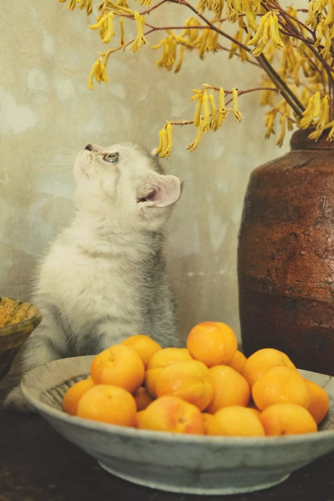 厦门有哪些拍照好看的地方,厦门十大拍照地方