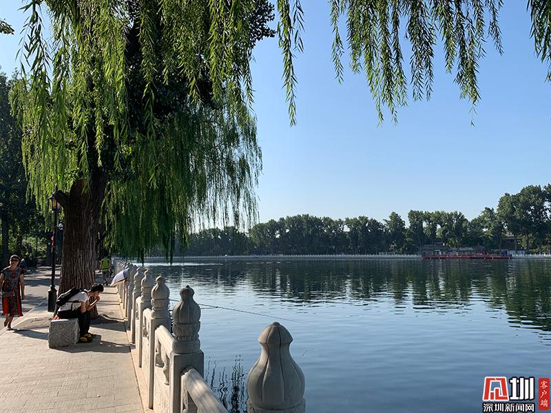 什刹海的旅游特色,什刹海旅游攻略北京最美景点推荐