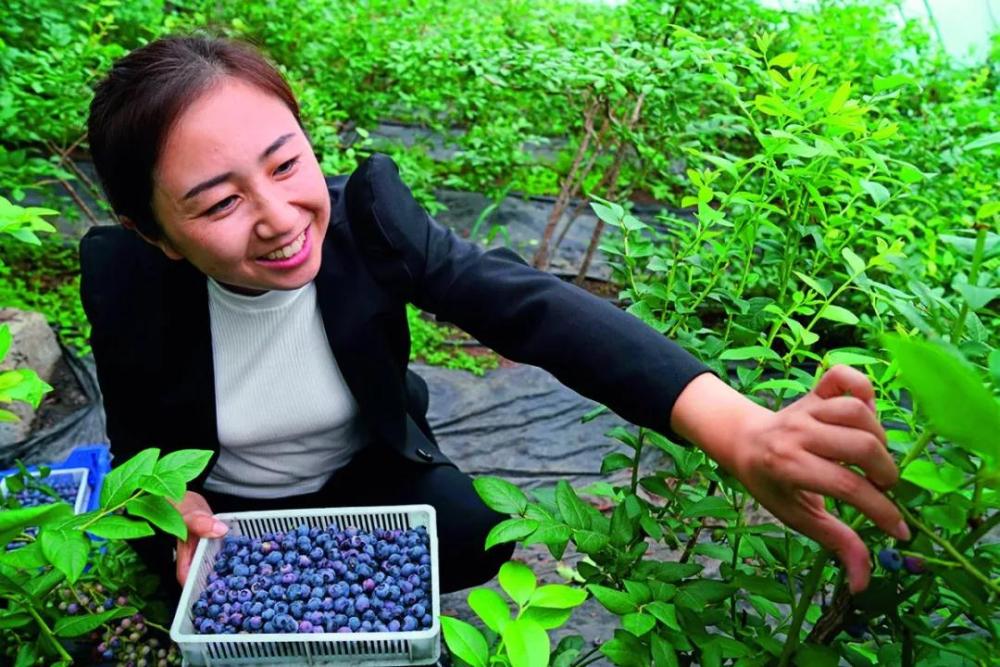 瞭望丨习*平近**总书记“林区三问”的伊春答卷