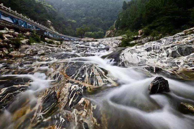 研学泰山,研学行万里探索知天下