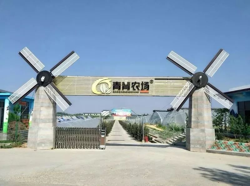 研学泰山,研学行万里探索知天下