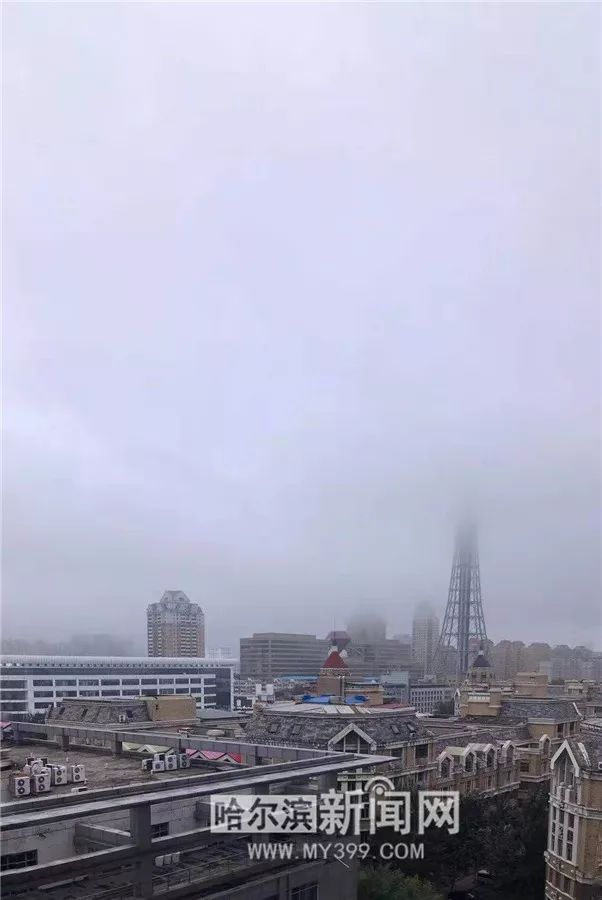 哈尔滨风景好的大公园推荐,哈尔滨松北区哪个公园好看