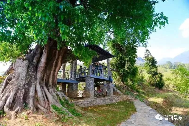 景福镇岔河村,美丽乡村岔河村