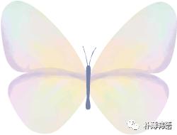 朴薄韩语新书预售（粉丝6.9折专享福利）