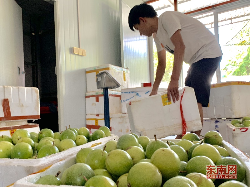 农村电商上的草根,农村电商之农产品上行