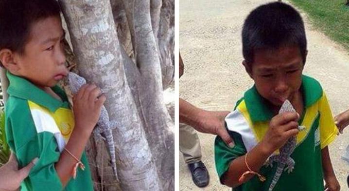 小孩被壁虎咬了怎么办,被壁虎咬伤了怎么办