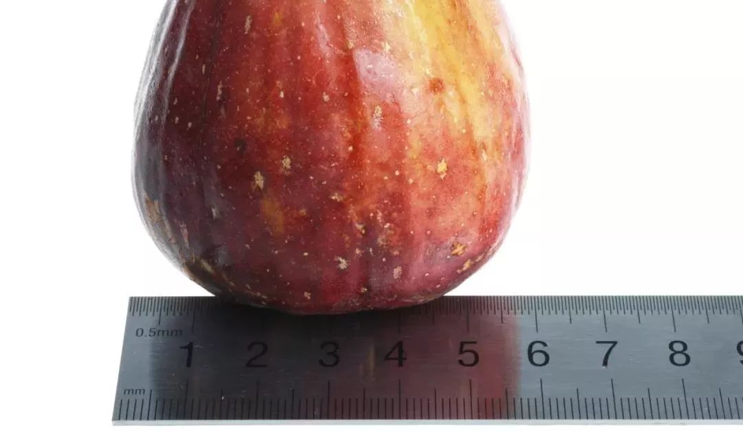 崇明糯米寿桃,崇明美味已上市快来尝鲜