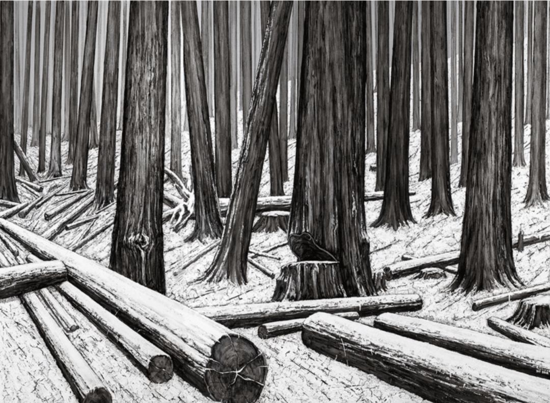 艺术家的画品,艺术家的收藏品