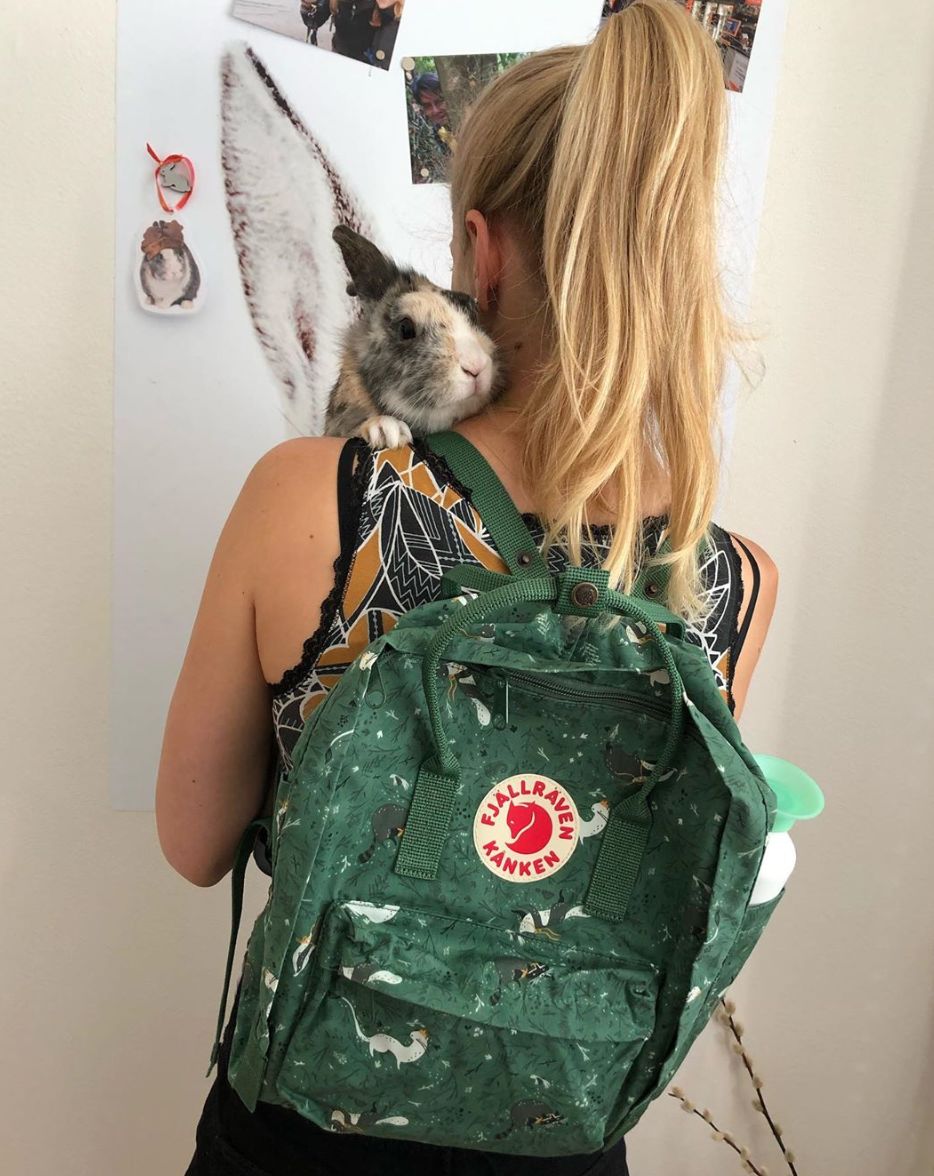 开学让同学眼前一亮的双肩包推荐,学生党开学季双肩包安利