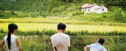 宅有三喜是什么,宅子现四喜是哪四喜